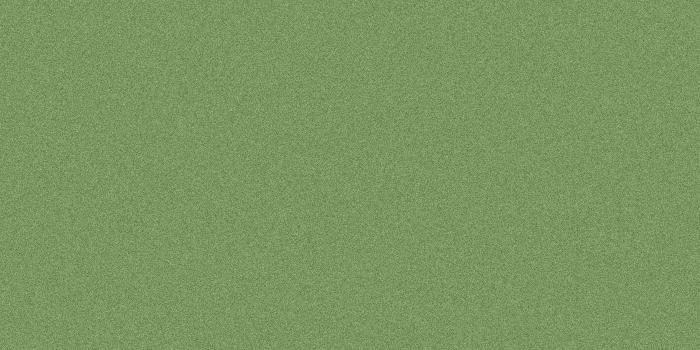 Grassy Landscape